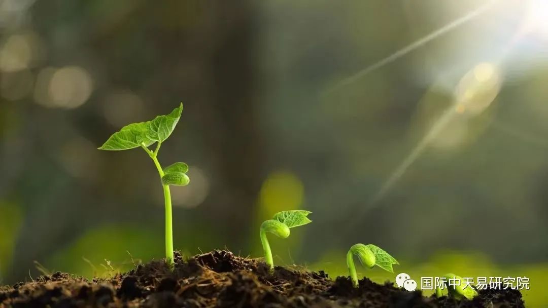 百分百准确风水择日网_风水学中的择日法则是什么_风水择日古书籍