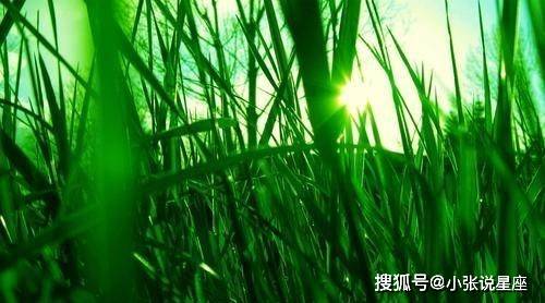 测试嫁给爱情还是嫁给现实_12生肖女人桃花最旺生肖女人_嫁给爱情的女人生肖