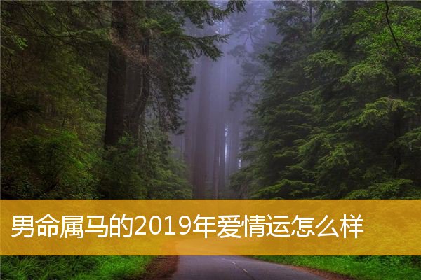 生肖马2017年运势_2019运势生肖马运势详解_生肖马爱情运势