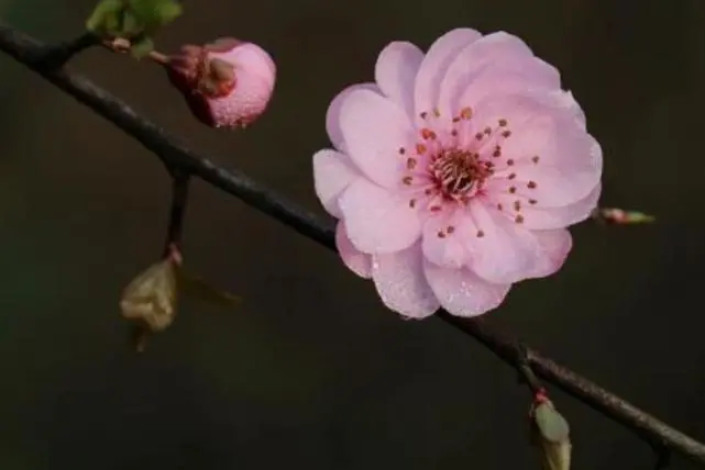 风水堂:感情空窗