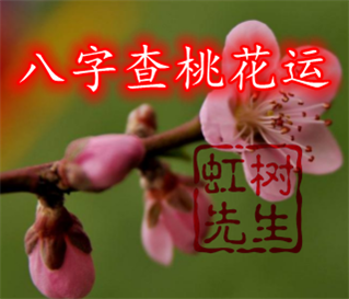 麦华盛八字精批批_五行八字命运精批_八字精批桃花