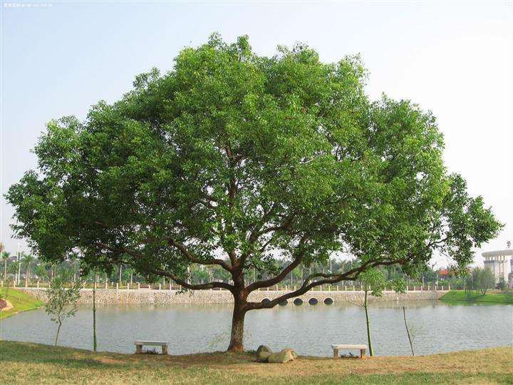 农村住宅南墙布局风水_住宅梦物语最豪华布局_住宅与风水 房间财位风水图解