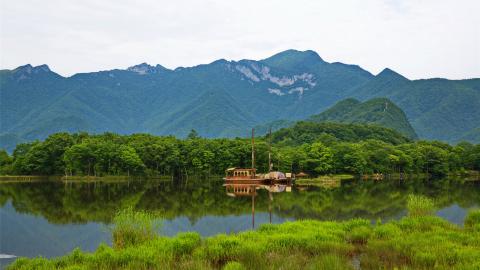 山医命相卜怎么学_山医命相卜的小说_道分山医命相卜五术