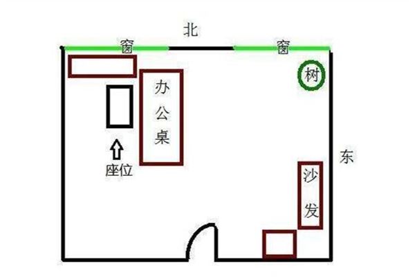 黄金枫好还是红枫好_办公室能种红枫吗风水好吗_美国红枫怎么种