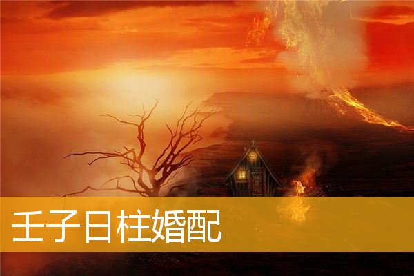 壬申日生人八字富贵命_八字命理壬申日好不好_site99166.com 八字预测学八字命理 txt免费