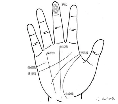 掌中细纹的手相面相图男_面相掌细纹手相图男中年人_面相掌细纹手相图男中年