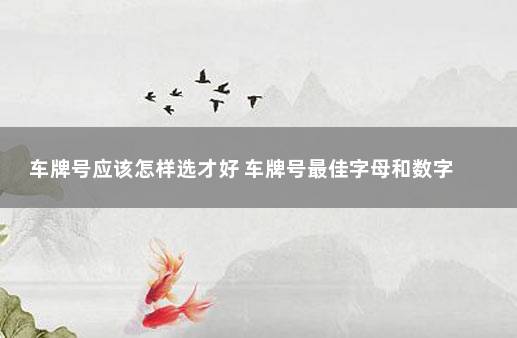 车牌号码测吉凶与