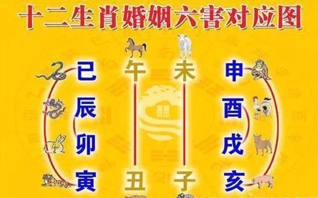 男女合八字主要看什么_男女合婚八字主要看什么_怎么看男女八字相合不合婚