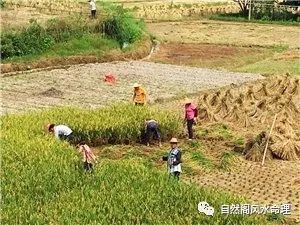 生肖鼠隐形性格_隐形生肖鼠性格分析_隐形生肖鼠性格特征