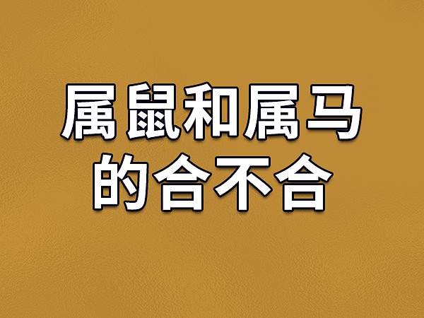 隐形生肖鼠性格特征_隐形生肖鼠性格分析_生肖鼠隐形性格