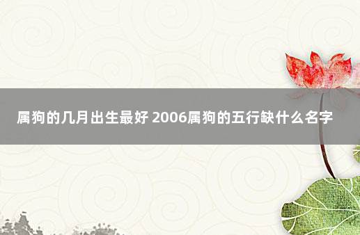 八字测算是否能养狗_八字测养宠物_八字测算适合养什么宠物