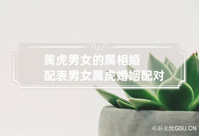 属相婚配兔和虎会怎样_兔和虎属相婚配好吗_兔配虎结婚好吗