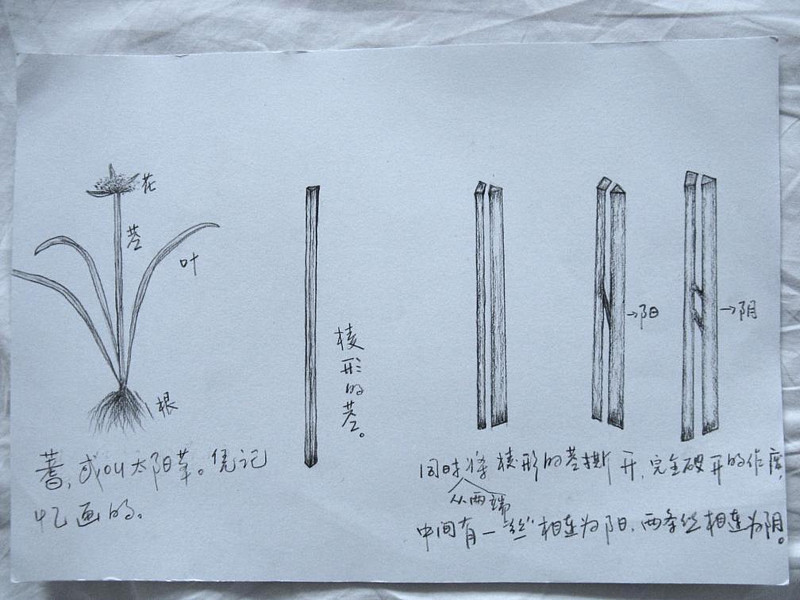 太极八卦寓意图解_太极八卦图的寓意_太极八卦寓意图片大全