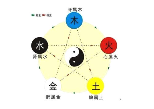 五行缺水八字喜木是什么意思_喜水木五行不缺_命理喜用水木五行缺什么