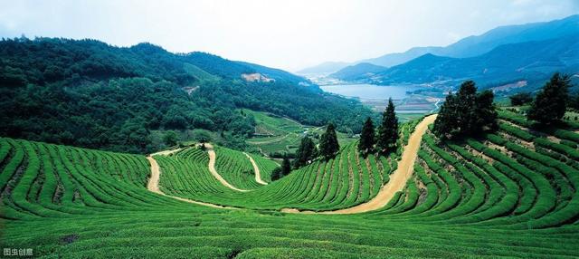 住宅风水的建议_住宅风水好_住屋风水选择