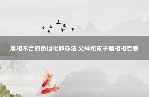 出现属相不合怎么办？如何化解，如何有效化