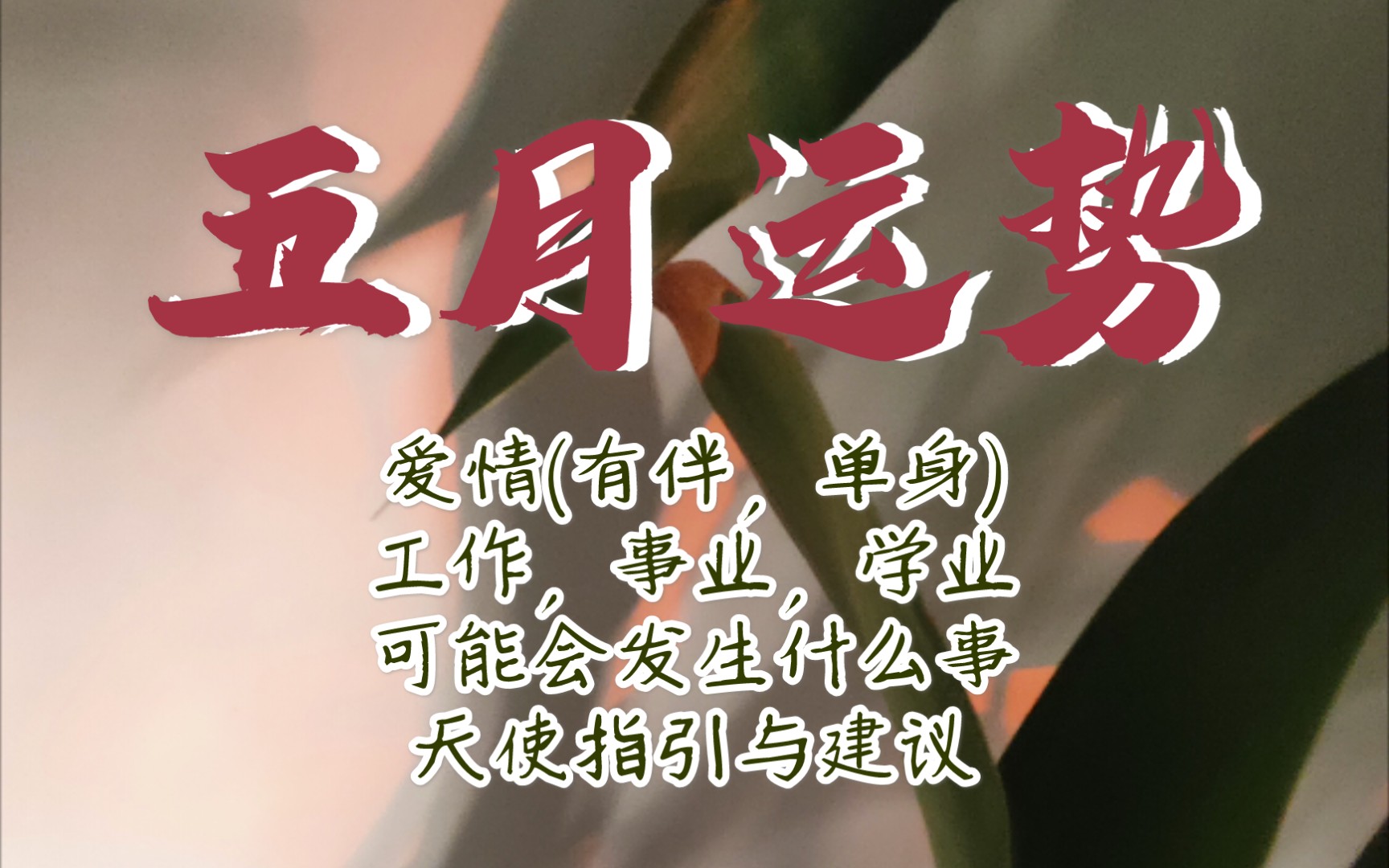 今日爱情运势八字_八字运势今日爱情运势查询_生辰八字测今日爱情运