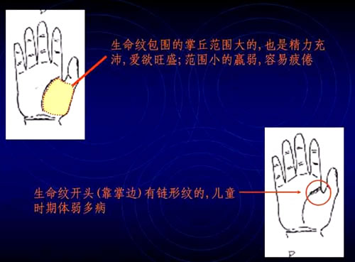 妈妈的手相面相图解女_手相看母亲_女人面相顺口溜罕见手相