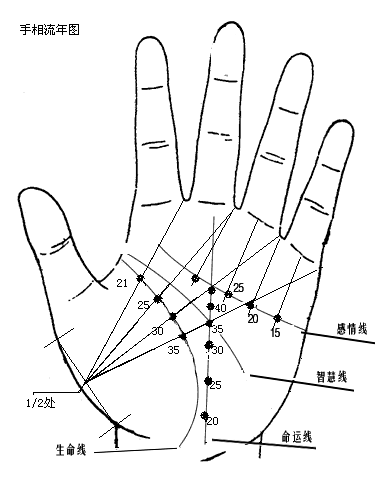 妈妈的手相面相图解女_手相看母亲_女人面相顺口溜罕见手相