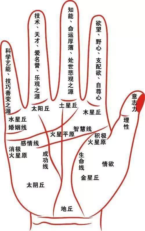 雷先生手相面相八字_手相面相易师傅_手相雷纹