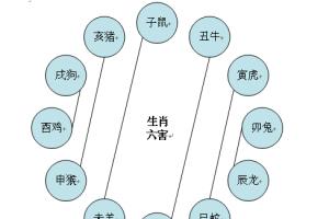 属什么生肖老黄历2021犯太岁的生肖有哪些？