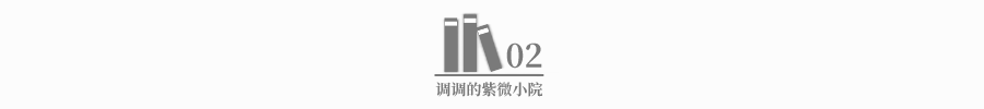 飞星紫微斗数_紫微斗数 飞星 来因_飞星紫微斗数说命pdf