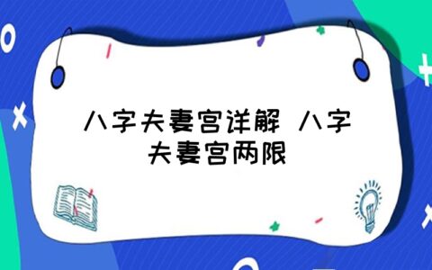 八字夫妻宫看另一半职业_八字中夫妻宫事业宫在哪里_夫妻宫八字