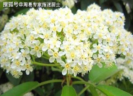 风水堂:八字算命