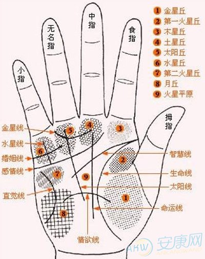 手相看配偶职业_面相看配偶在哪个方向_手相面相看配偶工作可信吗