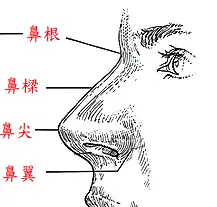 易道风水命理:如何从面相看姻缘什么时候到?