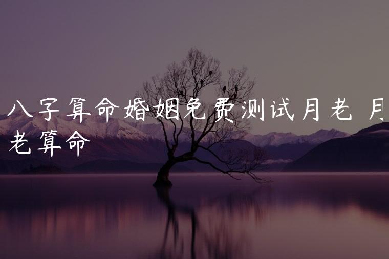 八字算命婚姻配对免费测试八字合婚分数在热恋中的