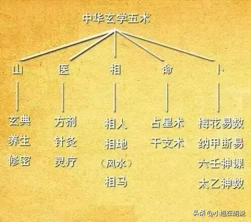 山医命相卜玄学五术山字门的养生作用