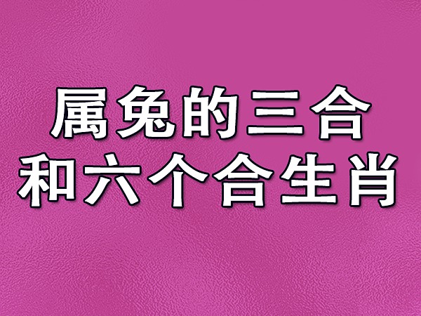 兔子怎么相配生肖配对呢_兔子匹配生肖_配对生肖相配兔子好不好