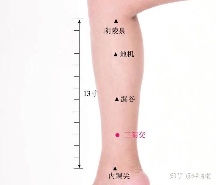 梦见女人给我按摩身体_梦见女人按摩后背_梦见给女人按摩身体好不好