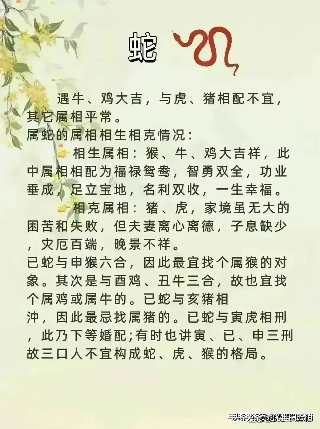 生肖马羊配对意思_生肖马羊配吗_生肖羊马相配吗