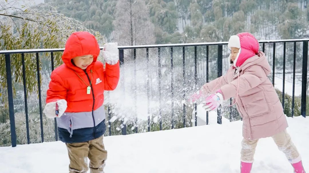 梦见院子里有动物_梦见动物出现在院子里_动物梦见院子出现里面好多蛇