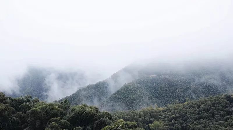 梦见院子里有动物_动物梦见院子出现里面好多蛇_梦见动物出现在院子里