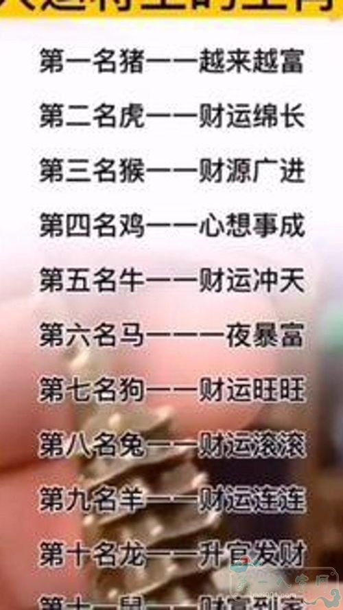 如何看八字里的财有多少